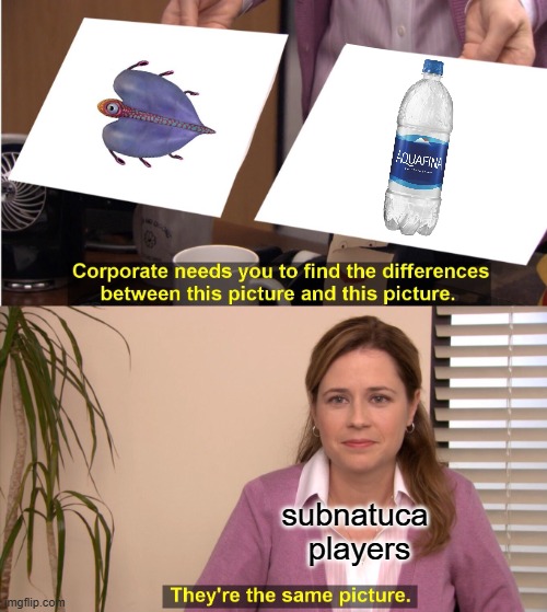 They're The Same Picture | subnatuca 
players | image tagged in memes,they're the same picture | made w/ Imgflip meme maker