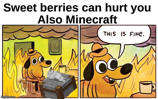 like how that really doesnt make sense | Sweet berries can hurt you 
Also Minecraft | image tagged in memes,this is fine,minecraft memes,minecraft,too much minecraft | made w/ Imgflip meme maker