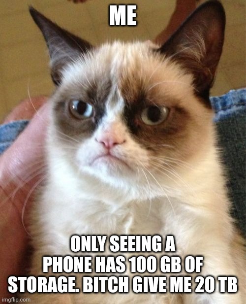 Phones don't have enough storage | ME; ONLY SEEING A PHONE HAS 100 GB OF STORAGE. BITCH GIVE ME 20 TB | image tagged in memes,grumpy cat,phones,storage,data,gigabytes | made w/ Imgflip meme maker