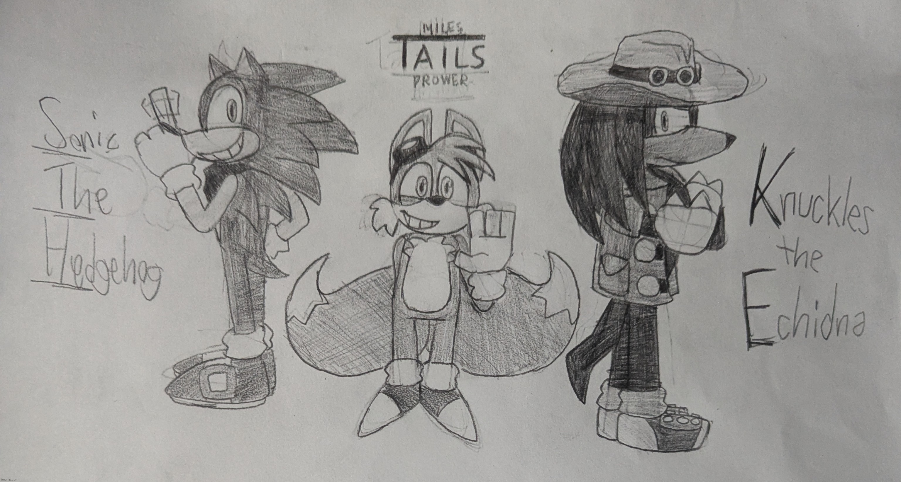 team sonic (named by sonic) | image tagged in sonic,sonic the hedgehog,tails,knuckles,sega | made w/ Imgflip meme maker