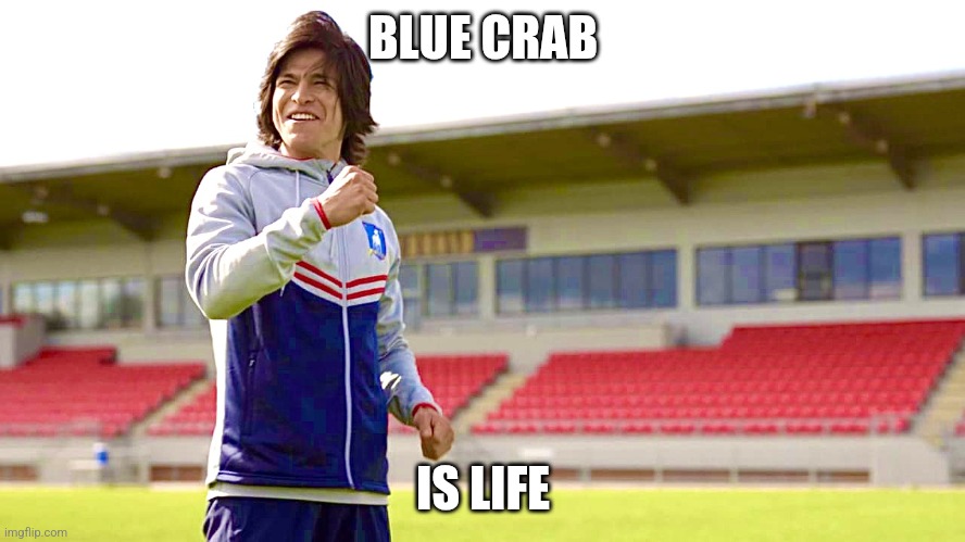 Blue Crab is Life | BLUE CRAB; IS LIFE | image tagged in football is life,maryland,md,crab,blue crab,seafood | made w/ Imgflip meme maker