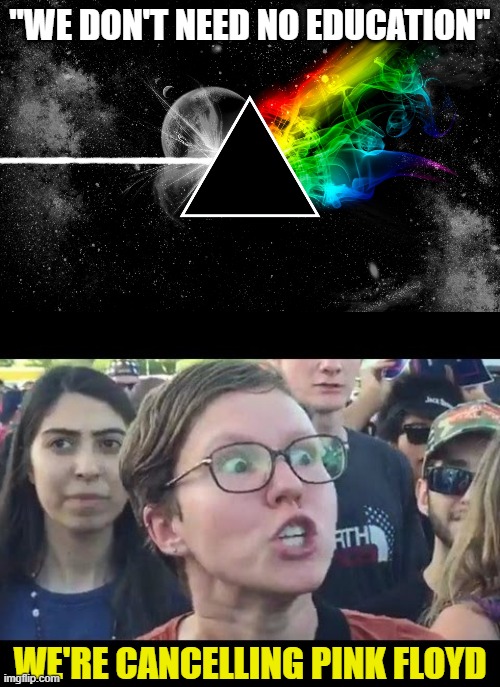 "WE DON'T NEED NO EDUCATION"; WE'RE CANCELLING PINK FLOYD | image tagged in dark side of moon pink floyd,angry sjw | made w/ Imgflip meme maker