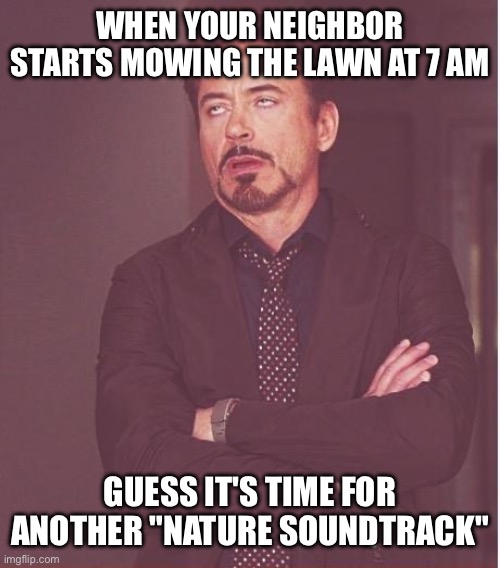 Annoying situation | WHEN YOUR NEIGHBOR STARTS MOWING THE LAWN AT 7 AM; GUESS IT'S TIME FOR ANOTHER "NATURE SOUNDTRACK" | image tagged in memes,face you make robert downey jr,funny memes,annoying,annoyed | made w/ Imgflip meme maker