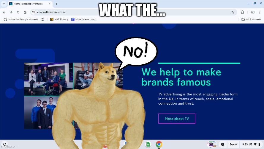 Channel 4 Ventures plc | WHAT THE... | image tagged in buff doge vs cheems,funny memes | made w/ Imgflip meme maker