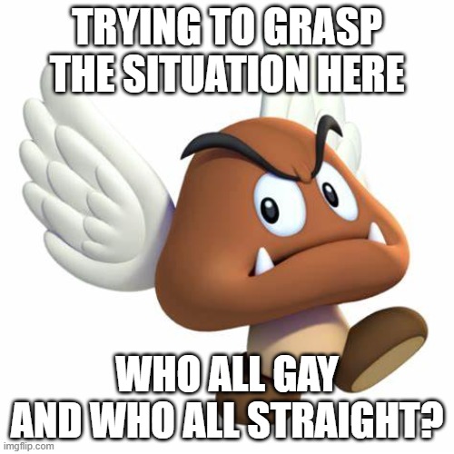 ? | TRYING TO GRASP THE SITUATION HERE; WHO ALL GAY AND WHO ALL STRAIGHT? | image tagged in grimnemo anouncement template | made w/ Imgflip meme maker