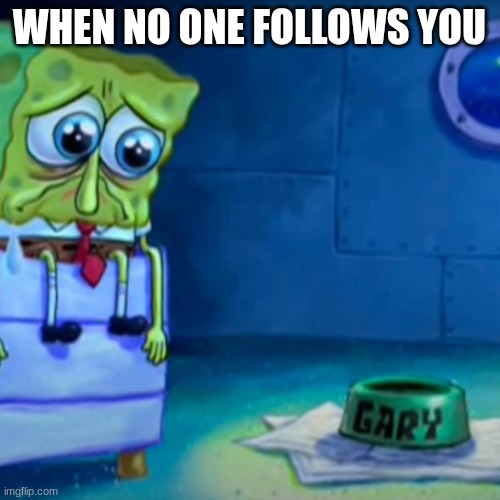 Gary Come Home | WHEN NO ONE FOLLOWS YOU | image tagged in gary come home | made w/ Imgflip meme maker