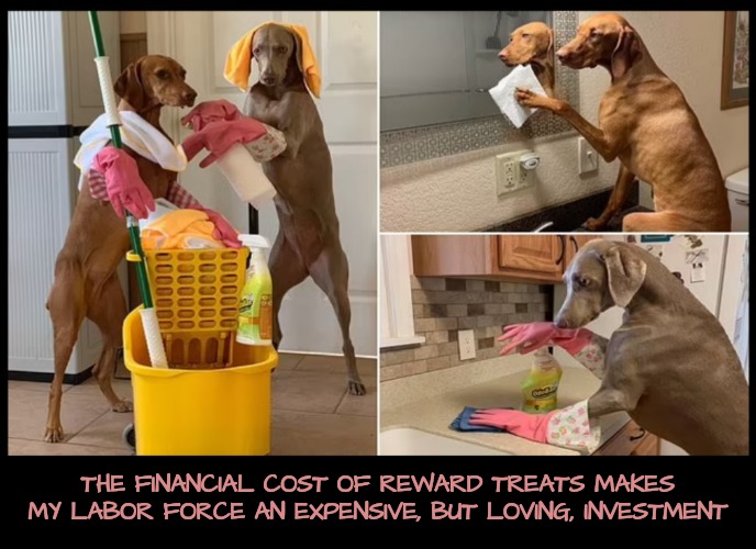 Expensive but worth it! | THE FINANCIAL COST OF REWARD TREATS MAKES MY LABOR FORCE AN EXPENSIVE, BUT LOVING, INVESTMENT | image tagged in labor,dogs | made w/ Imgflip meme maker