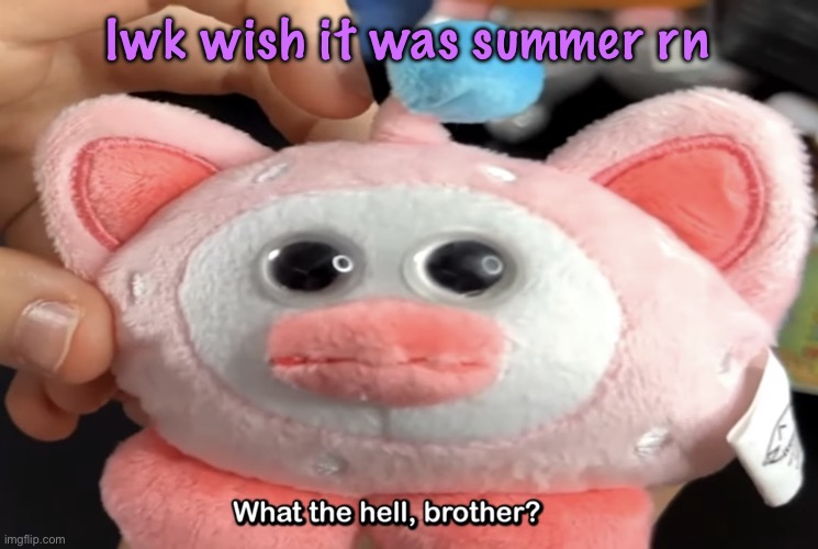 “What the hell, brother?” | lwk wish it was summer rn | image tagged in what the hell brother,cinnabox announcement | made w/ Imgflip meme maker