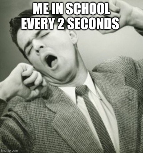 school problems | ME IN SCHOOL EVERY 2 SECONDS | image tagged in school,yawning,tired,funny | made w/ Imgflip meme maker