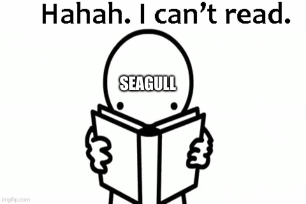 Haha, I Can't Read | SEAGULL | image tagged in haha i can't read | made w/ Imgflip meme maker