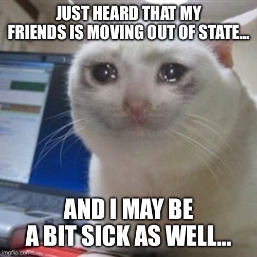 Ugh… | JUST HEARD THAT MY FRIENDS IS MOVING OUT OF STATE…; AND I MAY BE A BIT SICK AS WELL… | image tagged in crying cat | made w/ Imgflip meme maker