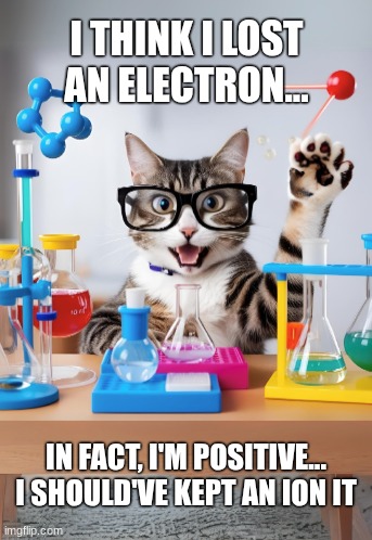 Chemistry Cat | I THINK I LOST AN ELECTRON... IN FACT, I'M POSITIVE...
I SHOULD'VE KEPT AN ION IT | image tagged in chemistry cat | made w/ Imgflip meme maker