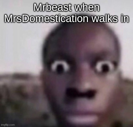 bruh what | Mrbeast when MrsDomestication walks in | image tagged in bruh what | made w/ Imgflip meme maker