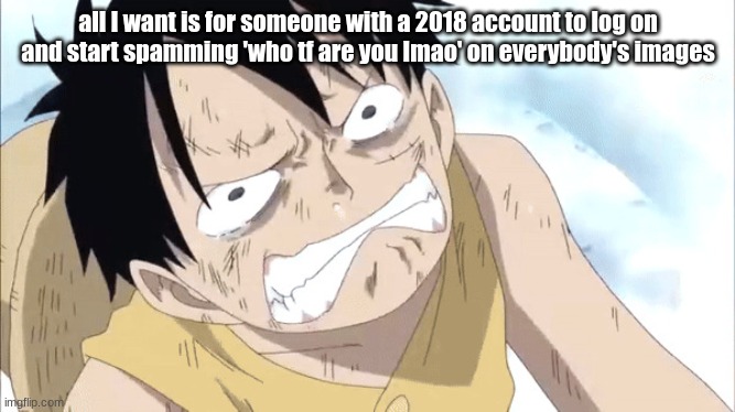 it would be hilarious | all I want is for someone with a 2018 account to log on and start spamming 'who tf are you lmao' on everybody's images | image tagged in luffy may cry | made w/ Imgflip meme maker