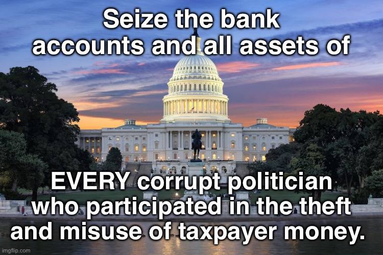 Shut them down | Seize the bank accounts and all assets of; EVERY corrupt politician who participated in the theft and misuse of taxpayer money. | image tagged in washington dc swamp | made w/ Imgflip meme maker