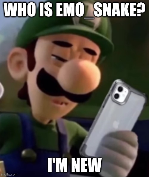 Luigi With Phone | WHO IS EMO_SNAKE? I'M NEW | image tagged in luigi with phone | made w/ Imgflip meme maker