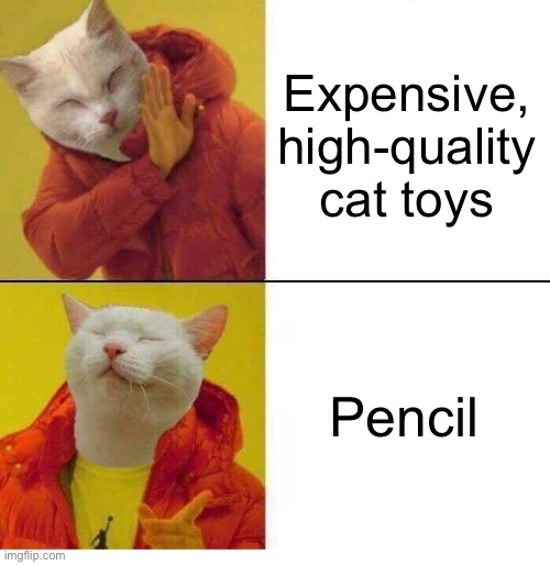 my cat is 100% like this lol | Expensive, high-quality cat toys; Pencil | image tagged in cat drake,cats,lmao real,memes | made w/ Imgflip meme maker