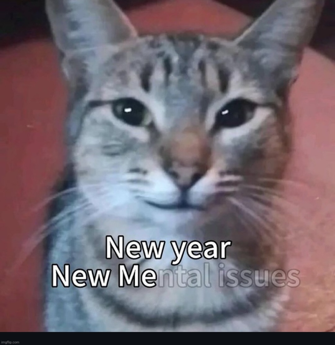 image tagged in new year,new me,mental issues | made w/ Imgflip meme maker