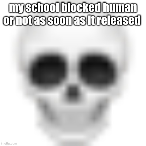 Skull emoji | my school blocked human or not as soon as it released | image tagged in skull emoji | made w/ Imgflip meme maker