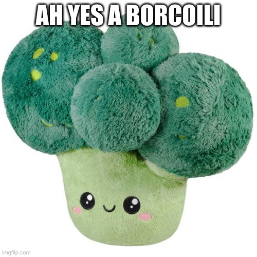 AH YES A BORCOILI | made w/ Imgflip meme maker