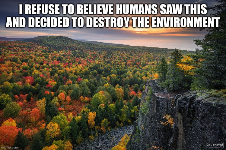 Nature> | I REFUSE TO BELIEVE HUMANS SAW THIS AND DECIDED TO DESTROY THE ENVIRONMENT | image tagged in nature,trees,beautiful | made w/ Imgflip meme maker