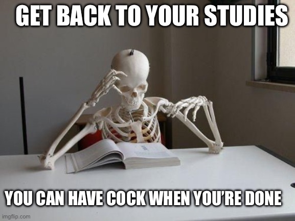 death by studying | YOU CAN HAVE COCK WHEN YOU’RE DONE GET BACK TO YOUR STUDIES | image tagged in death by studying | made w/ Imgflip meme maker