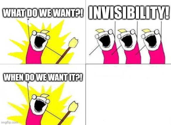 Invisibility | WHAT DO WE WANT?! INVISIBILITY! WHEN DO WE WANT IT?! | image tagged in memes,what do we want,funny | made w/ Imgflip meme maker