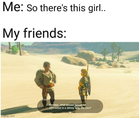 true tho... | image tagged in zelda,friends,the legend of zelda breath of the wild,twig,insults,the legend of zelda | made w/ Imgflip meme maker