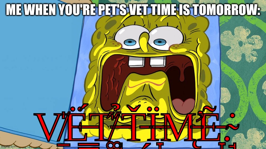 May this end Brainrot 4 good. New slangs are coming that aren't cringe. | ME WHEN YOU'RE PET'S VET TIME IS TOMORROW:; V̸̠̍Ë̶̳́T̸͚̋ ̶̩̉Ť̵̗Ï̶̞M̵̨̛Ẽ̵̞.̴̘̇ | image tagged in vet time | made w/ Imgflip meme maker