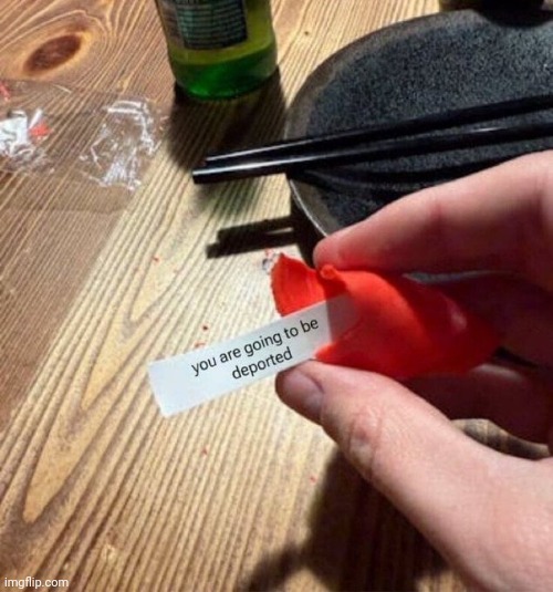 Illegal immigrant fortune cookie | image tagged in illegal immigrants,fortune cookie | made w/ Imgflip meme maker