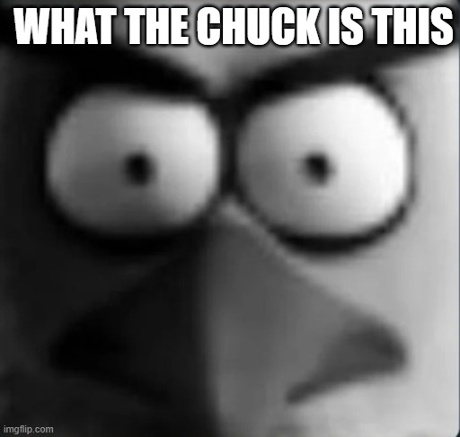 chuckpost | WHAT THE CHUCK IS THIS | image tagged in chuckpost | made w/ Imgflip meme maker