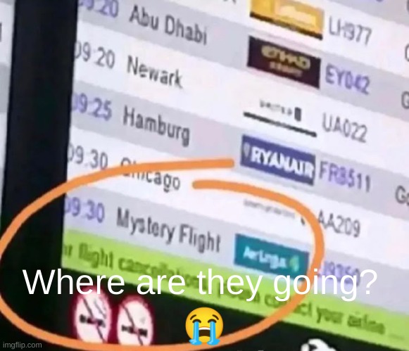 Does anyone know? | 😭; Where are they going? | image tagged in mystery flight | made w/ Imgflip meme maker