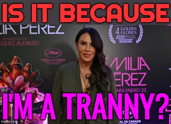 Is It Because I'm A Tranny? | IS IT BECAUSE; I'M A TRANNY? | image tagged in karla sof a gasc n,tranny,transgender,gender equality,breaking news,boycott hollywood | made w/ Imgflip meme maker