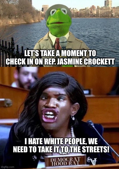 The Face of Racism in America | LET’S TAKE A MOMENT TO CHECK IN ON REP. JASMINE CROCKETT; I HATE WHITE PEOPLE, WE NEED TO TAKE IT TO THE STREETS! | image tagged in kermit news report,rep jasmine crockett,real life,racism,government corruption,maga | made w/ Imgflip meme maker