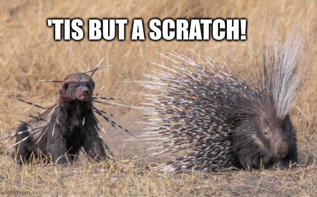 Tis But A Scratch! | 'TIS BUT A SCRATCH! | image tagged in tis but a scratch | made w/ Imgflip meme maker