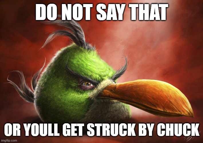 Realistic Angry Bird | DO NOT SAY THAT OR YOULL GET STRUCK BY CHUCK | image tagged in realistic angry bird | made w/ Imgflip meme maker