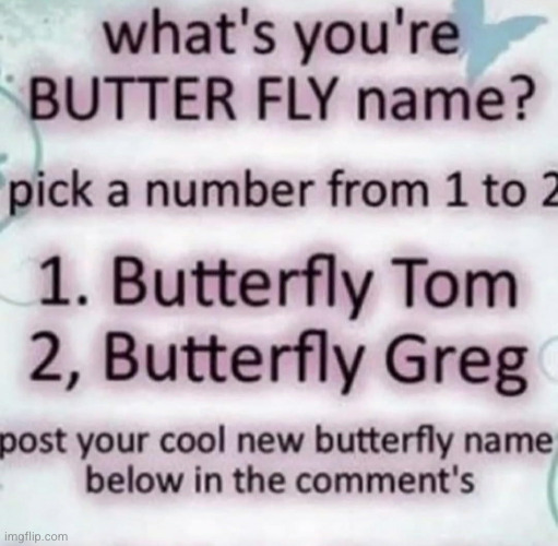 POST IN COMMENTS ?????? | image tagged in butterfly,funny,comments | made w/ Imgflip meme maker