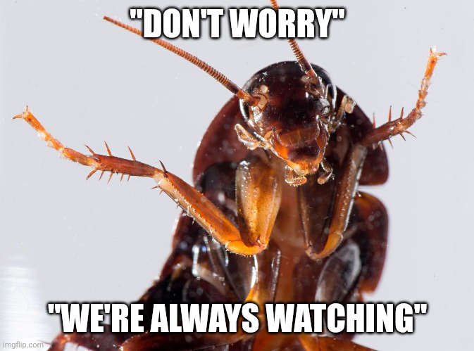 Cockroach | "DON'T WORRY" "WE'RE ALWAYS WATCHING" | image tagged in cockroach | made w/ Imgflip meme maker