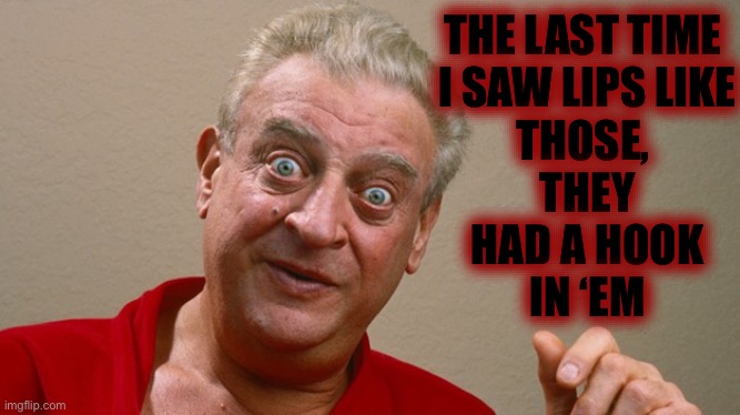 Rodney Dangerfield | THE LAST TIME 
I SAW LIPS LIKE
THOSE, 
THEY
HAD A HOOK
IN ‘EM | image tagged in rodney dangerfield | made w/ Imgflip meme maker