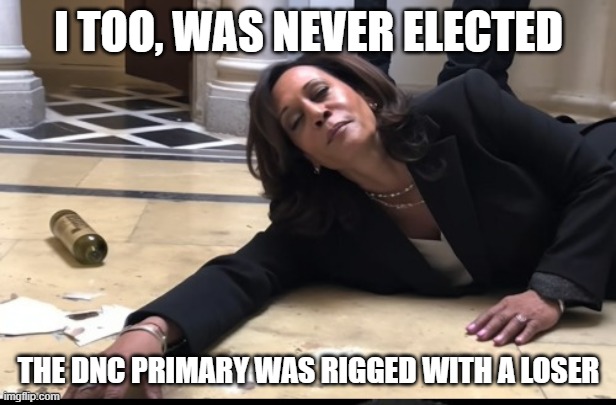 drunk kamala | I TOO, WAS NEVER ELECTED THE DNC PRIMARY WAS RIGGED WITH A LOSER | image tagged in drunk kamala | made w/ Imgflip meme maker