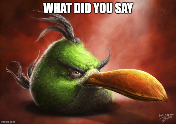 Realistic Angry Bird | WHAT DID YOU SAY | image tagged in realistic angry bird | made w/ Imgflip meme maker