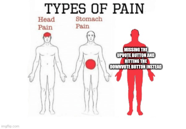 Hate it when that happens, even on other platforms | MISSING THE UPVOTE BUTTON AND HITTING THE DOWNVOTE BUTTON INSTEAD | image tagged in types of pain,upvotes,downvote,memes,funny,relatable | made w/ Imgflip meme maker