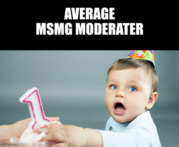 AVERAGE MSMG MODERATER | image tagged in memes,blank transparent square | made w/ Imgflip meme maker