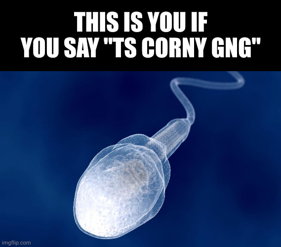 THIS IS YOU IF YOU SAY "TS CORNY GNG" | image tagged in memes,blank transparent square | made w/ Imgflip meme maker
