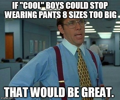 Seriously. | IF "COOL" BOYS COULD STOP WEARING PANTS 8 SIZES TOO BIG THAT WOULD BE GREAT. | image tagged in memes,that would be great | made w/ Imgflip meme maker