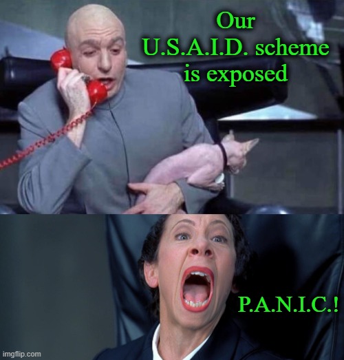 Panic in DC: [P]atriots [A]re [N]ow [I]n {C]ontrol | Our U.S.A.I.D. scheme is exposed; P.A.N.I.C.! | image tagged in dr evil and frau | made w/ Imgflip meme maker