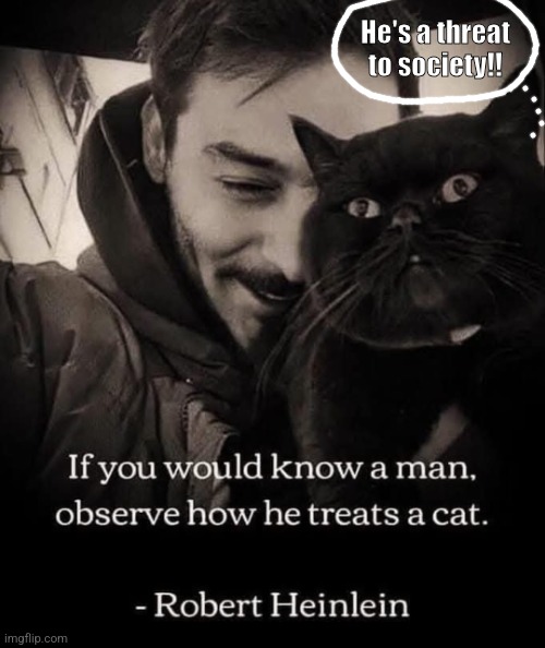 He's a threat to society!! | image tagged in cats are awesome | made w/ Imgflip meme maker