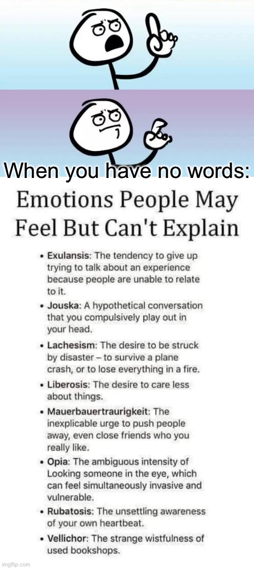 Emotions | When you have no words: | image tagged in no words,emotions | made w/ Imgflip meme maker