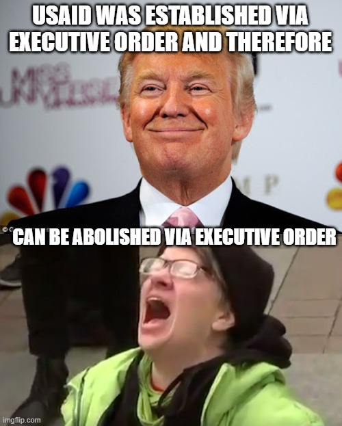 USAID WAS ESTABLISHED VIA EXECUTIVE ORDER AND THEREFORE; CAN BE ABOLISHED VIA EXECUTIVE ORDER | image tagged in donald trump approves,screaming liberal | made w/ Imgflip meme maker