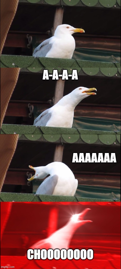 Inhaling Seagull | A-A-A-A; AAAAAAA; CHOOOOOOOO | image tagged in memes,inhaling seagull | made w/ Imgflip meme maker